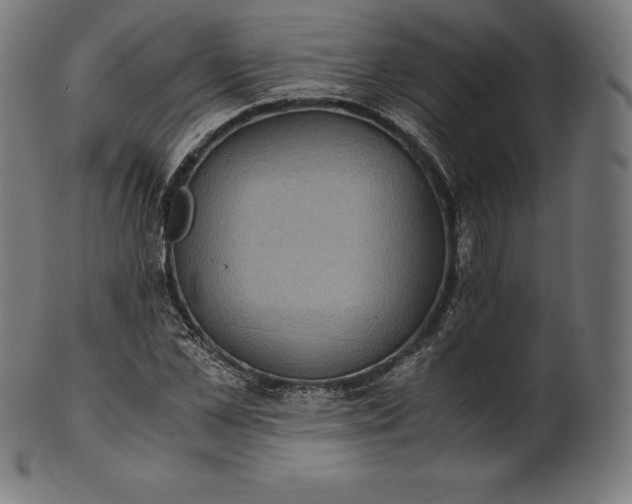 X0000101190973200807110940
