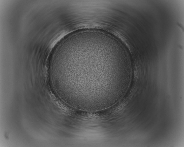 X0000101190975200807110940