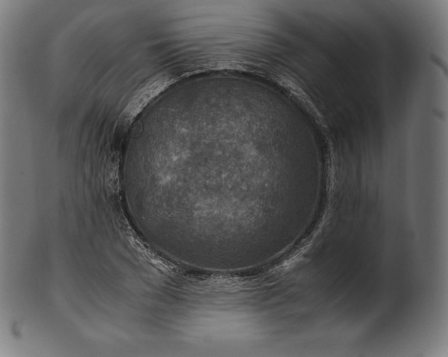 X0000101190977200807110940
