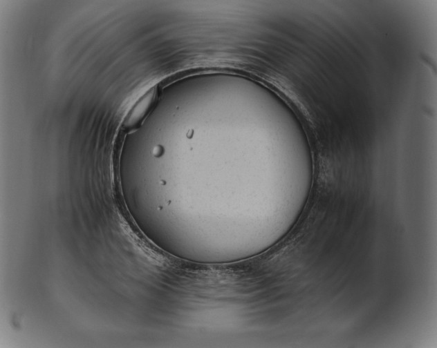 X0000101190980200807110940