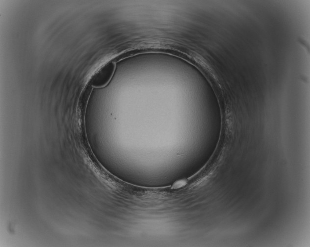X0000101190981200807110940