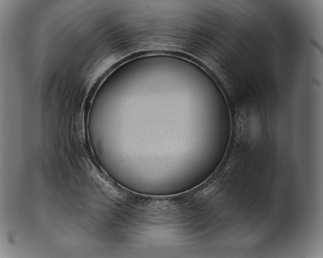 X0000101190982200807110940