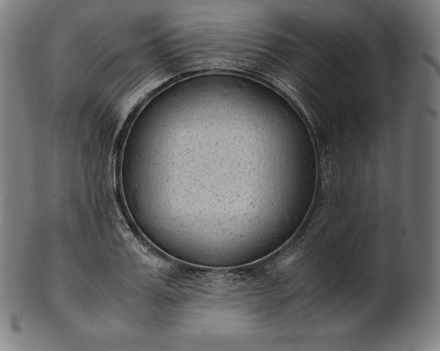 X0000101190987200807110940