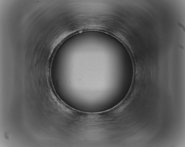X0000101190989200807110940