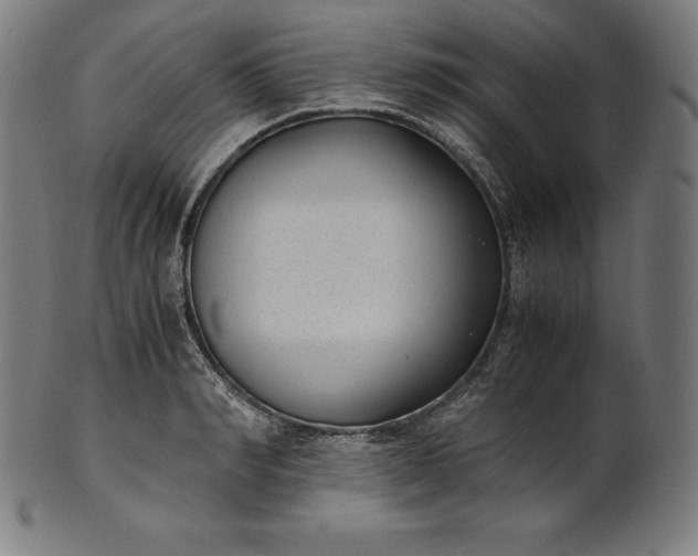 X0000101190990200807110940