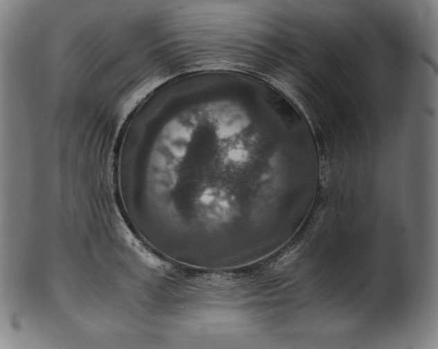 X0000101190995200807110940