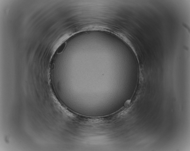 X0000101190997200807110940
