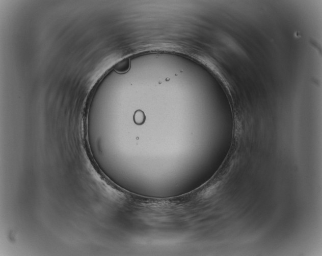 X0000101190999200807110940