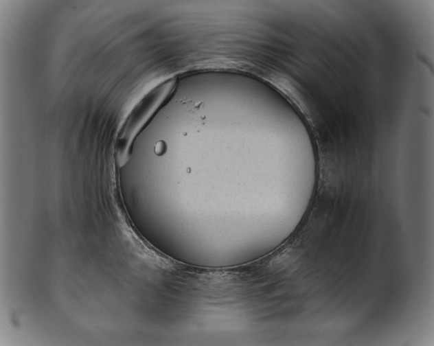 X0000101191000200807110940