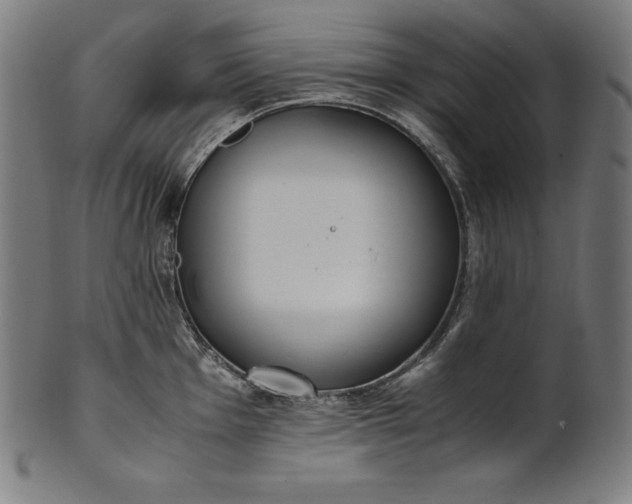 X0000101191001200807110940