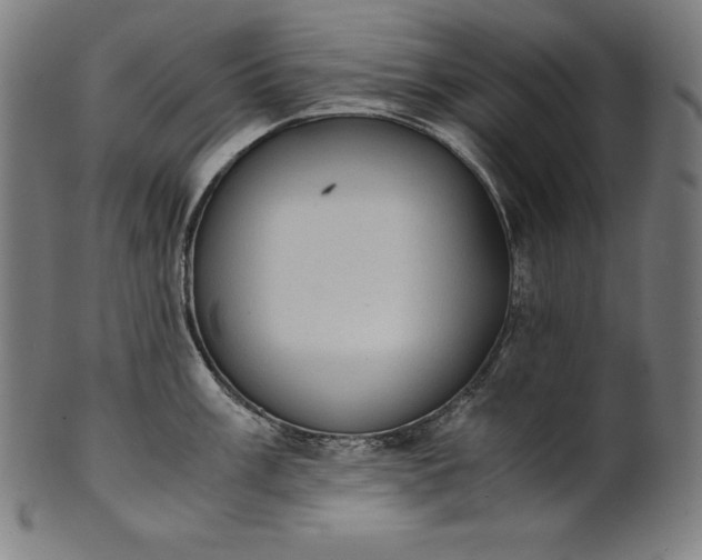 X0000101191003200807110940