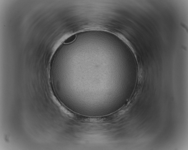 X0000101191005200807110940