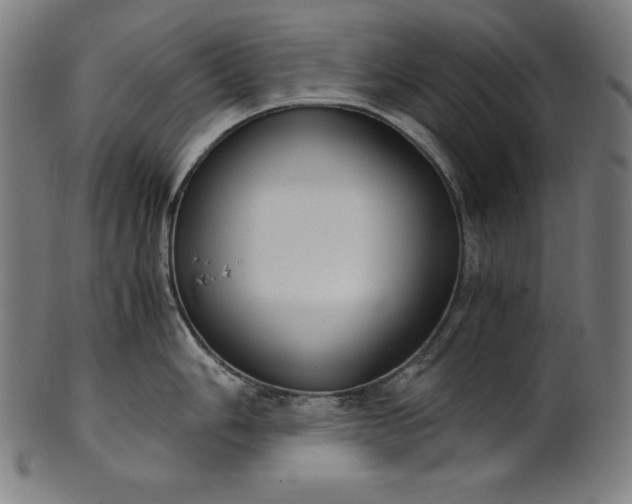 X0000101191006200807110940
