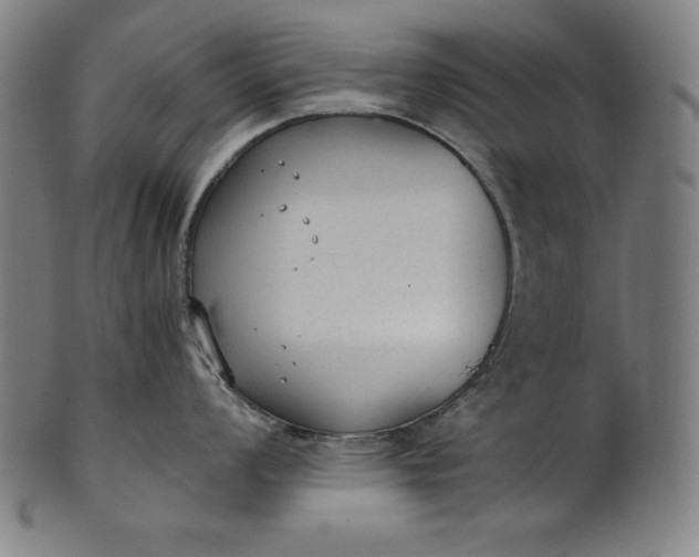 X0000101191008200807110940
