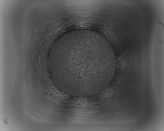 X0000101191009200807110939