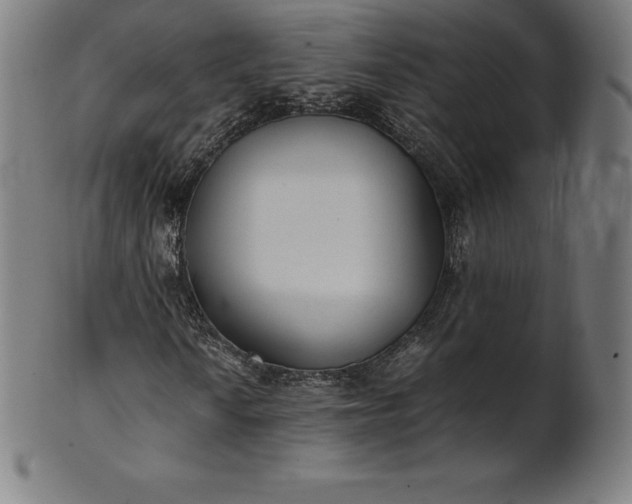 X0000101191010200807110939