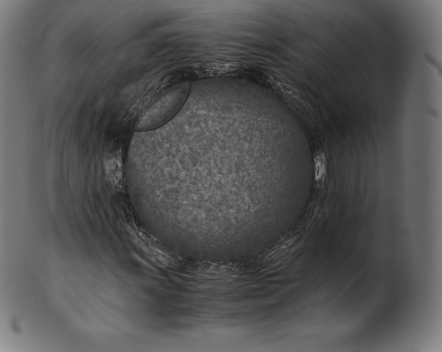 X0000101191011200807110939