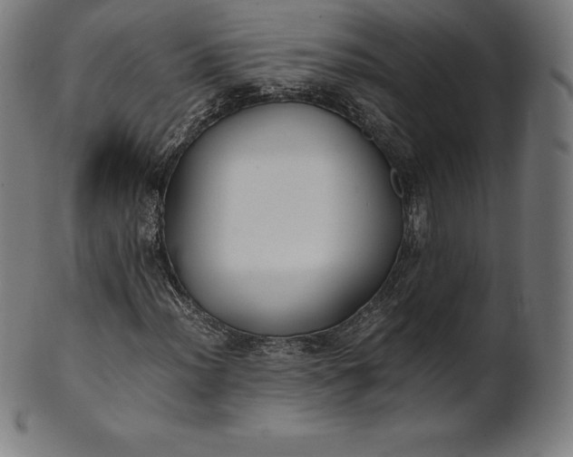 X0000101191012200807110939