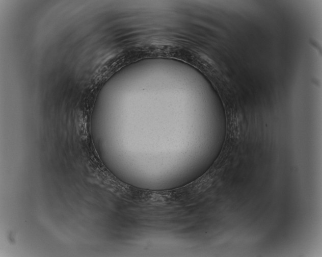 X0000101191013200807110939