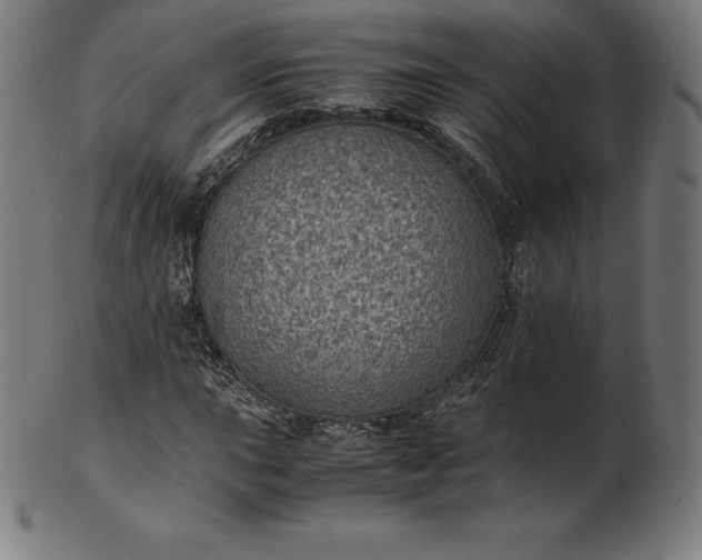 X0000101191015200807110939
