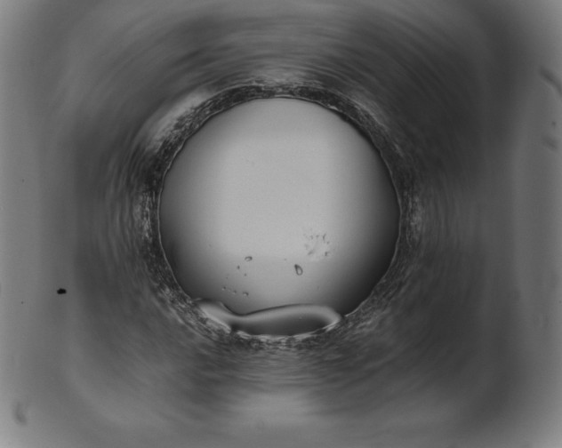 X0000101191016200807110939