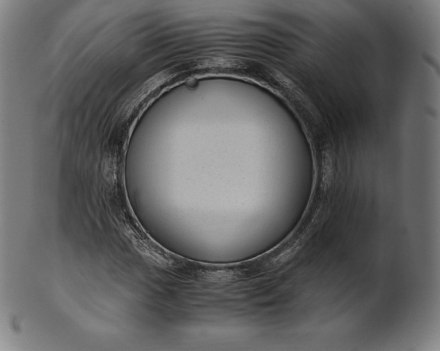 X0000101191017200807110939