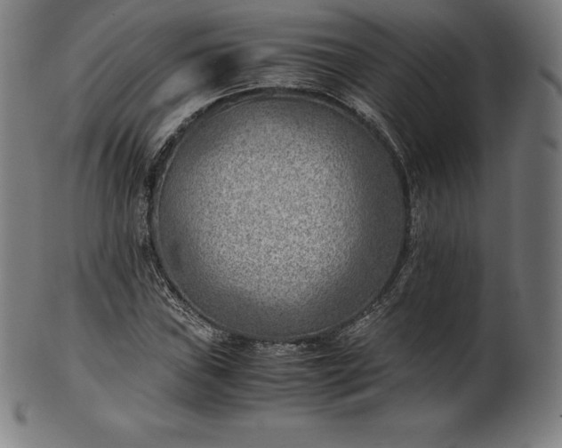 X0000101191019200807110939