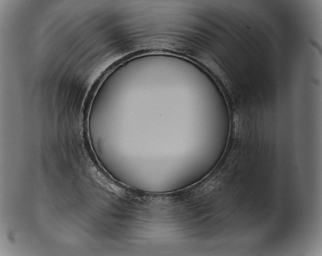 X0000101191020200807110939