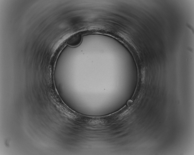 X0000101191021200807110939
