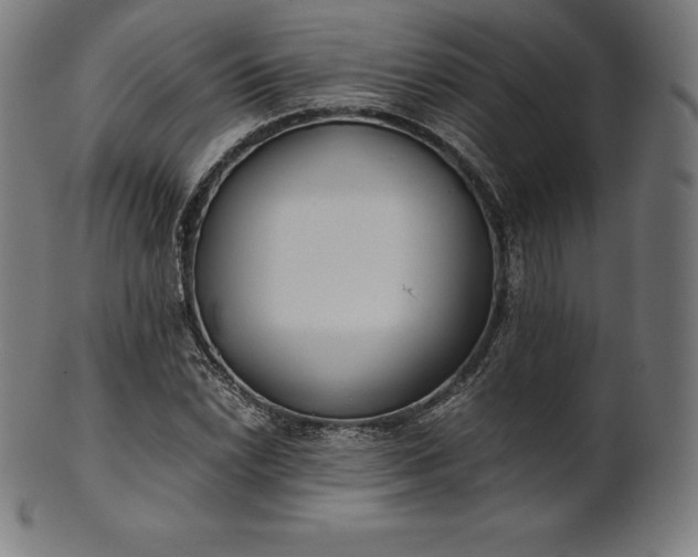 X0000101191022200807110939