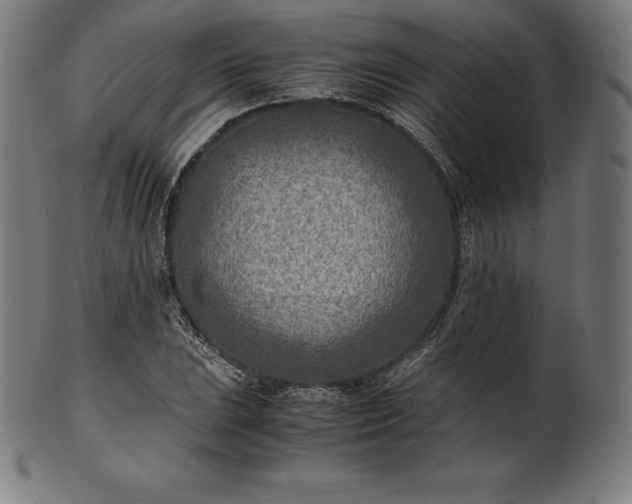 X0000101191023200807110939