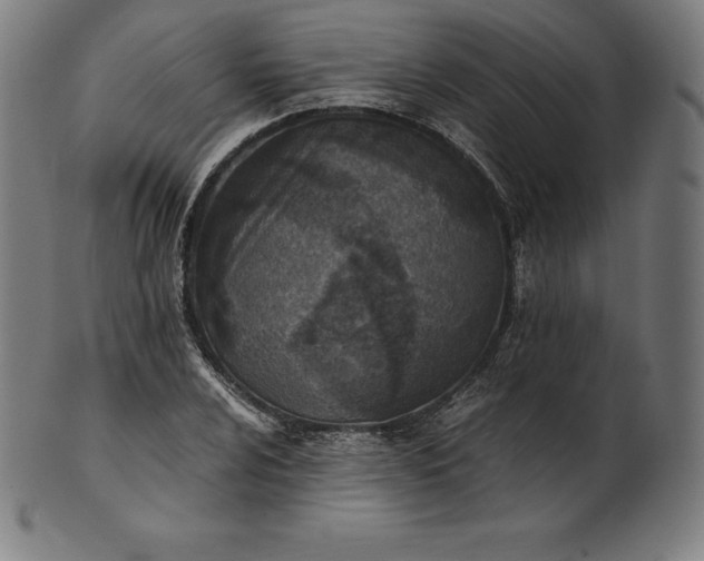 X0000101191024200807110939