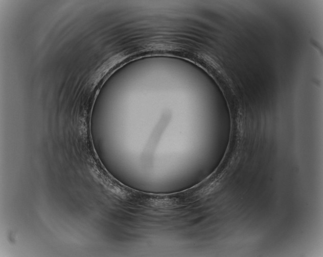 X0000101191025200807110939