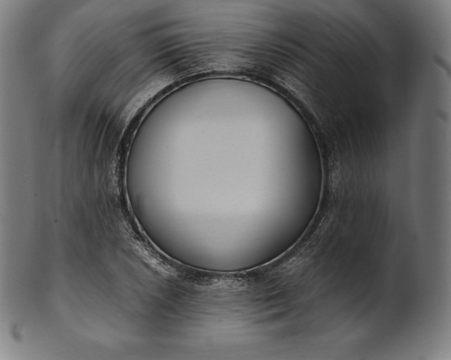 X0000101191026200807110939