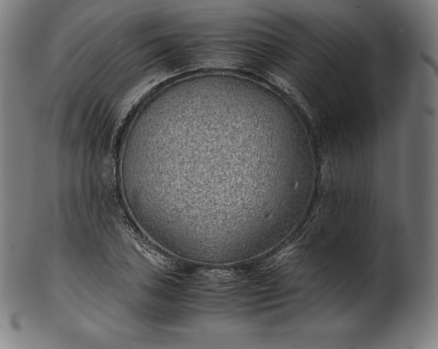 X0000101191027200807110939