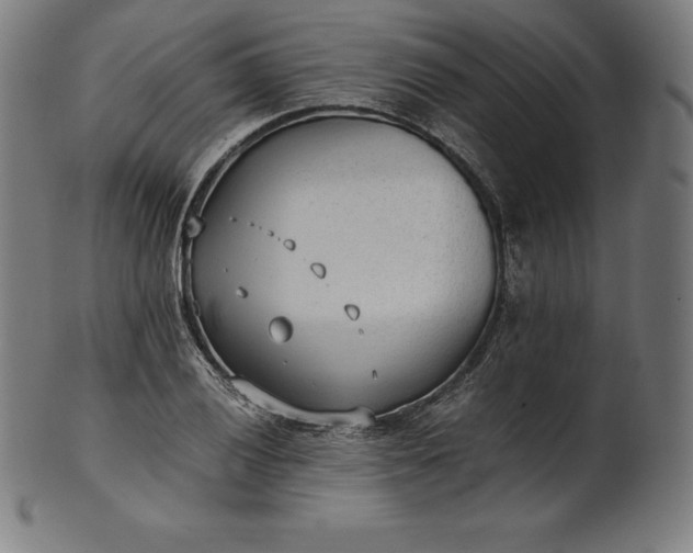 X0000101191028200807110939