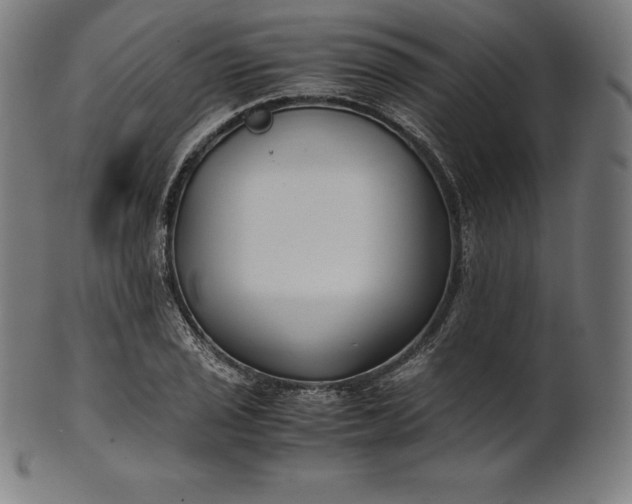 X0000101191029200807110939
