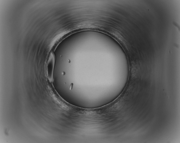 X0000101191030200807110939