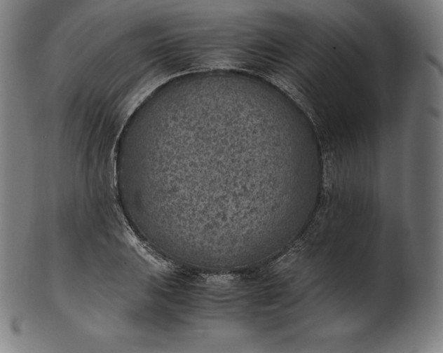 X0000101191031200807110939