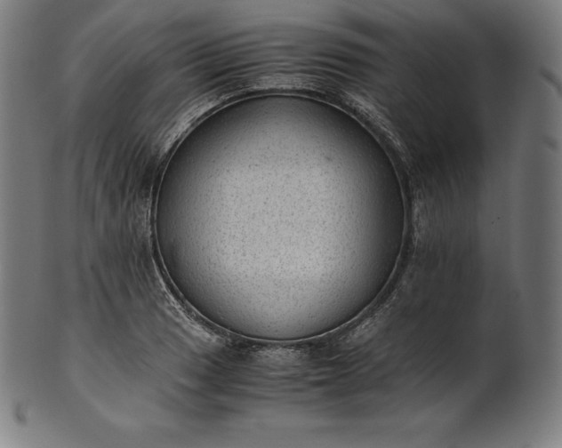 X0000101191033200807110940