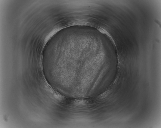 X0000101191035200807110940