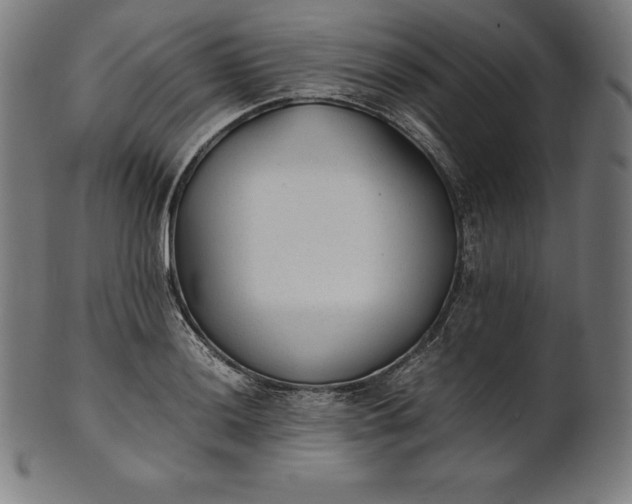 X0000101191036200807110940