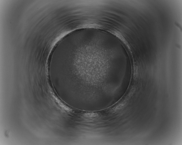 X0000101191037200807110940