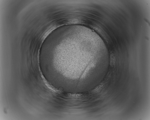 X0000101191039200807110940