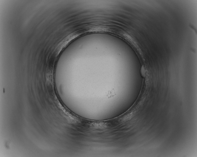 X0000101191041200807110940