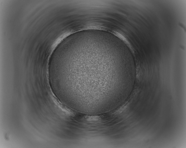 X0000101191043200807110940