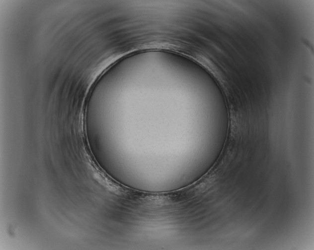 X0000101191044200807110940
