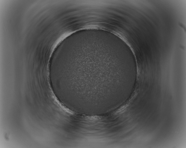 X0000101191045200807110940