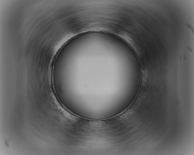 X0000101191046200807110940