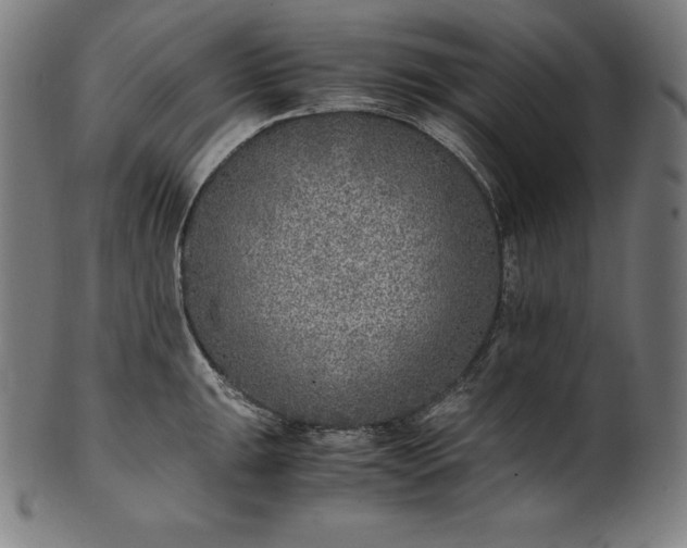 X0000101191047200807110940